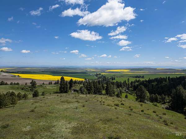 30 Acres of Land for Sale in Ferdinand, Idaho
