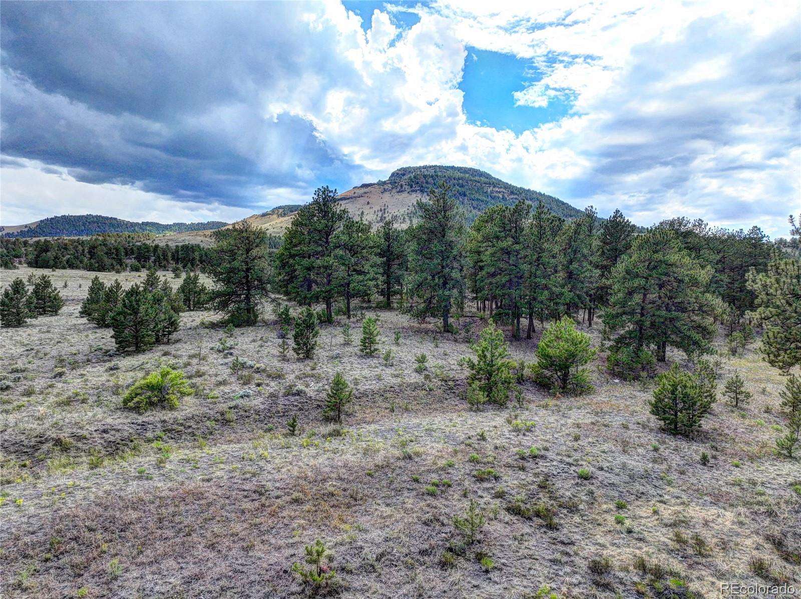 21 Acres of Land for Sale in Guffey, Colorado