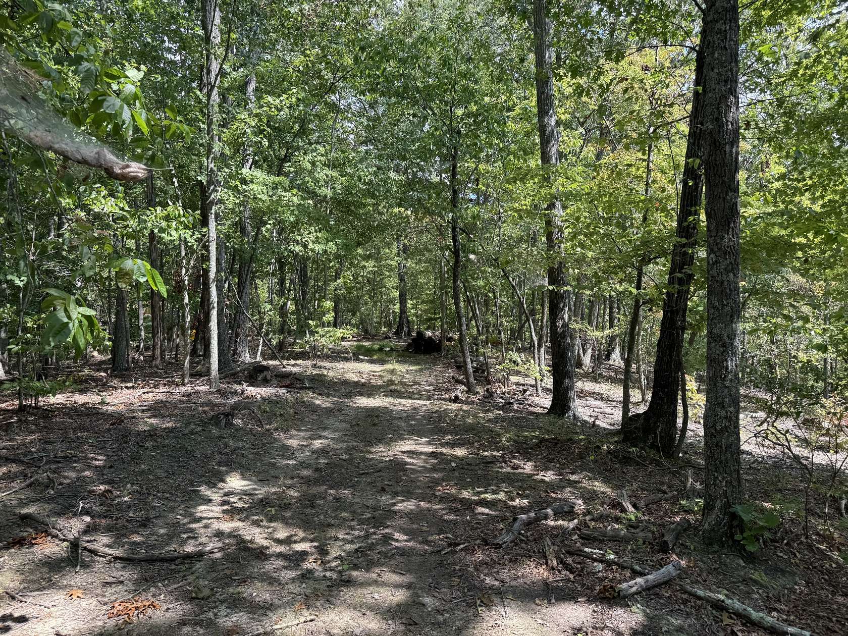 18.2 Acres of Land for Sale in Hilham, Tennessee