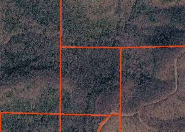43.4 Acres of Recreational & Residential Land for Sale in Yellville, Arkansas