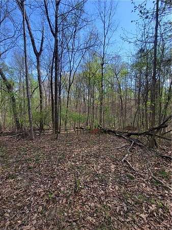 0.5 Acres of Residential Land for Sale in Gainesville, Georgia