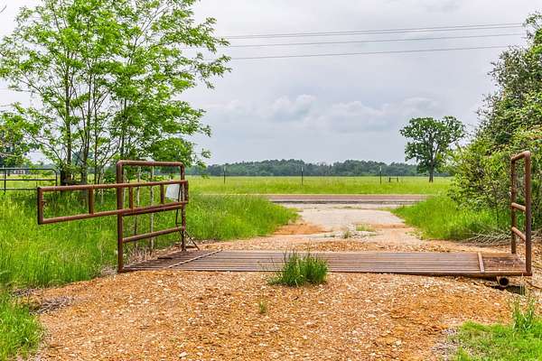 70 Acres of Land for Sale in Tennessee Colony, Texas
