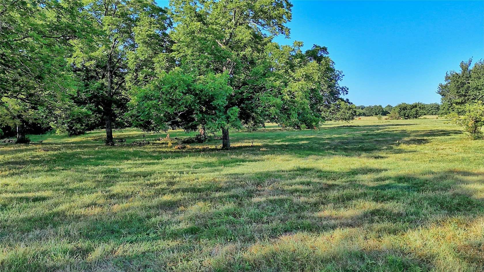 27 Acres of Land for Sale in Gainesville, Texas