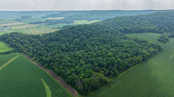 30 Acres of Land for Sale in Mondovi, Wisconsin