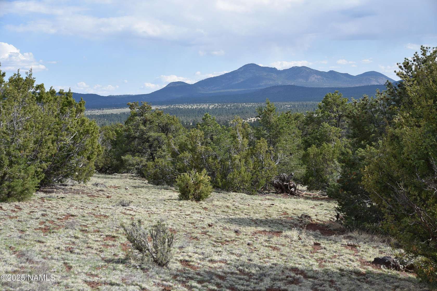 10.1 Acres of Land for Sale in Williams, Arizona