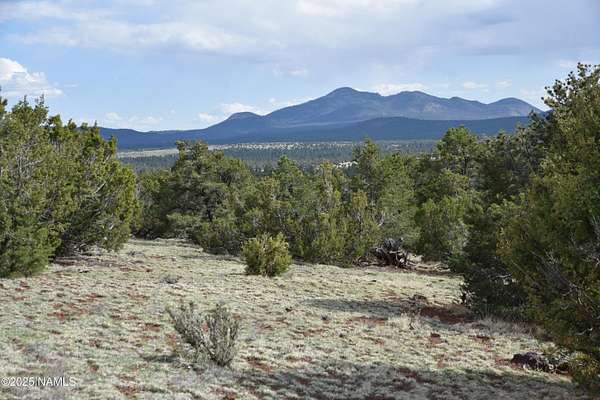 10.1 Acres of Land for Sale in Williams, Arizona