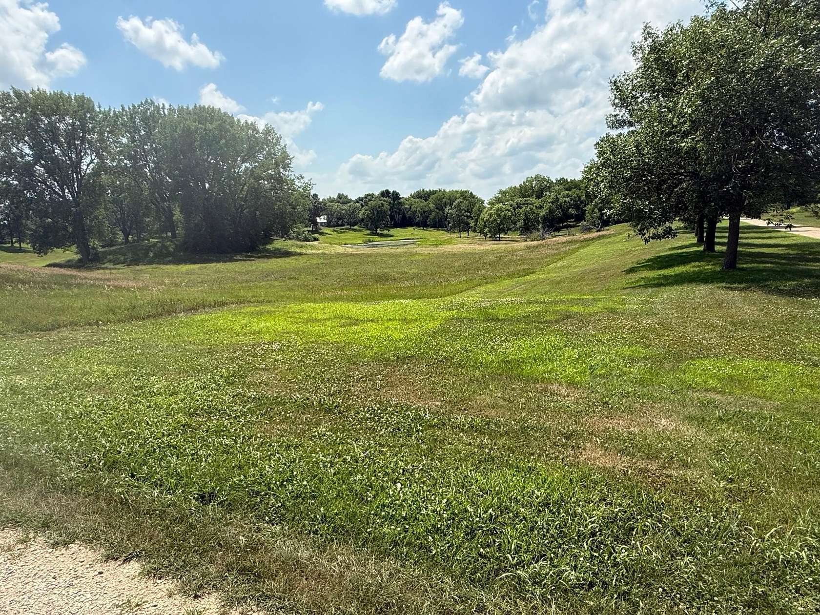 3 Acres of Land for Sale in Dawson, Minnesota