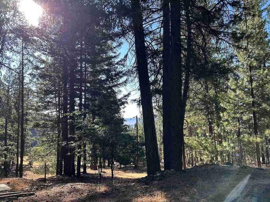 9.2 Acres of Residential Land for Sale in Fort Jones, California