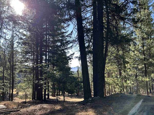 9.2 Acres of Residential Land for Sale in Fort Jones, California