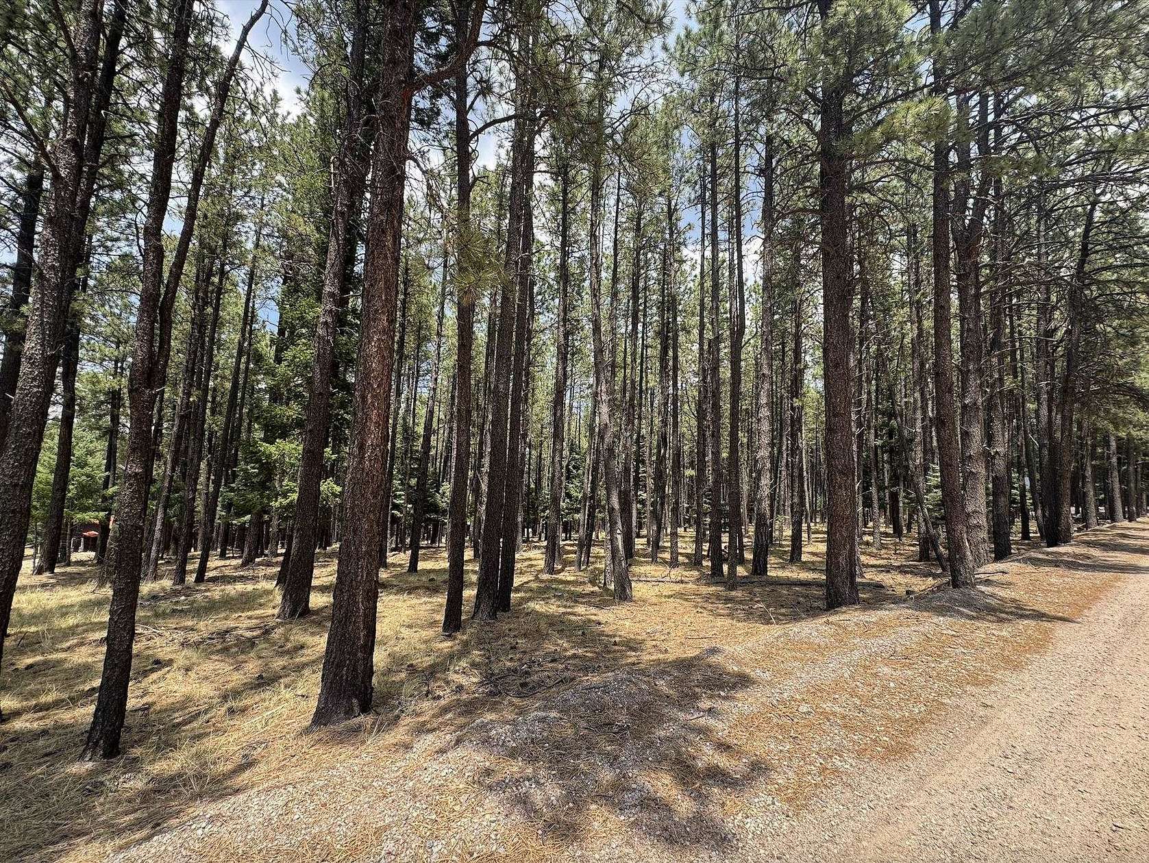 0.57 Acres of Residential Land for Sale in Angel Fire, New Mexico