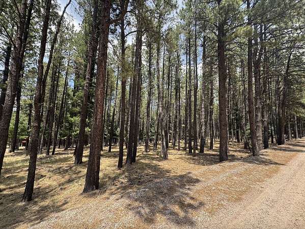 0.57 Acres of Residential Land for Sale in Angel Fire, New Mexico