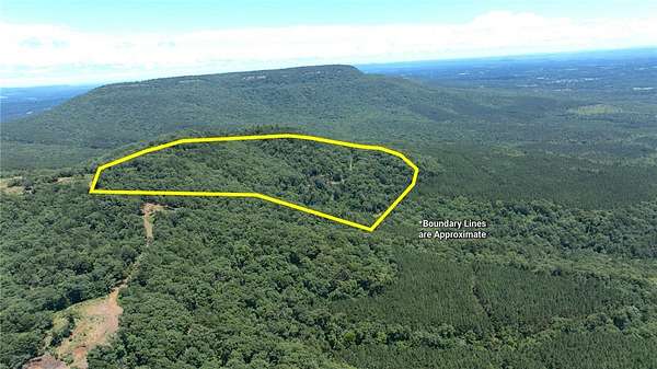 30 Acres of Recreational & Residential Land for Sale in Dardanelle, Arkansas