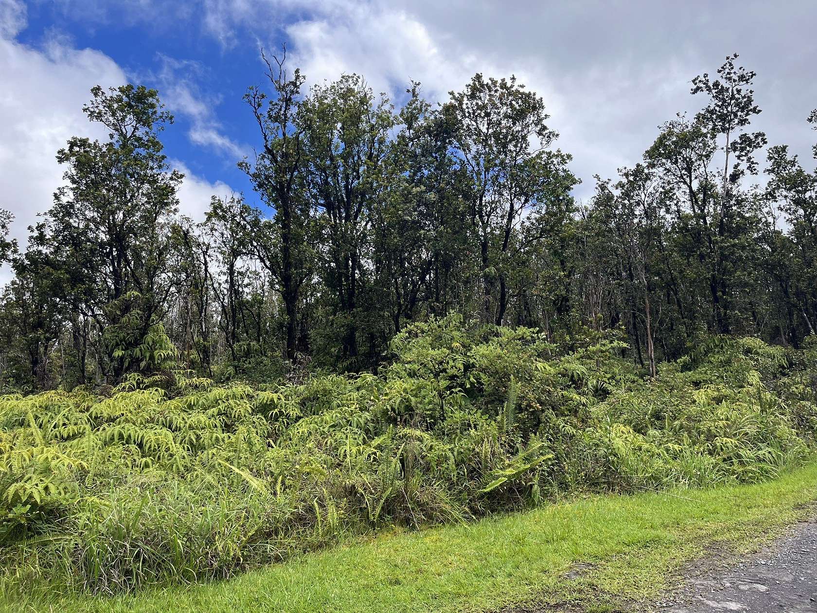 3 Acres of Residential Land for Sale in Volcano, Hawaii