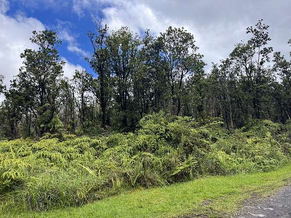 3 Acres of Residential Land for Sale in Volcano, Hawaii