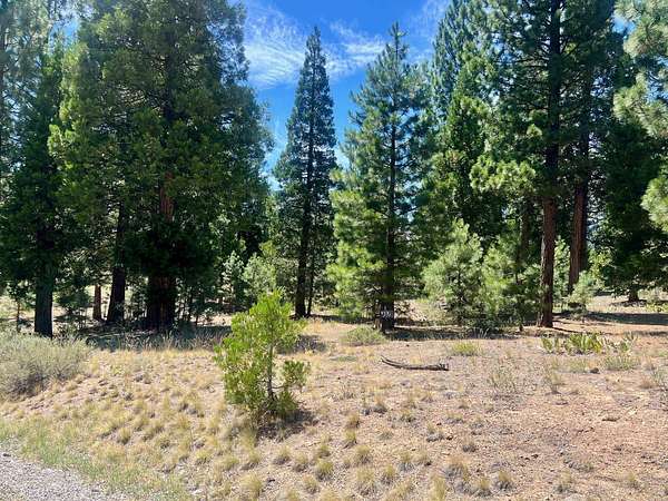 2.32 Acres of Residential Land for Sale in Portola, California