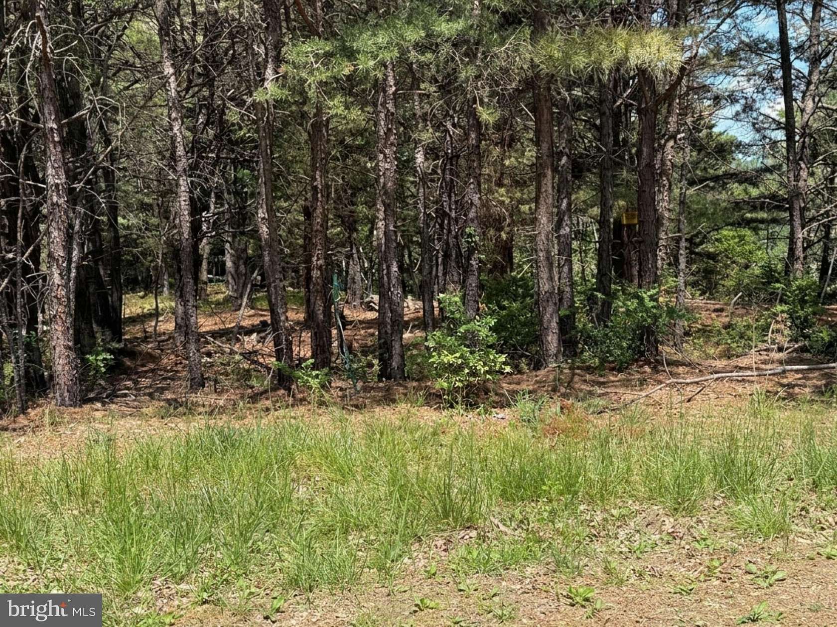20 Acres of Recreational & Residential Land for Sale in Yellow Spring, West Virginia