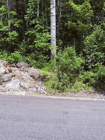 0.34 Acres of Residential Land for Sale in Berlin, New Hampshire