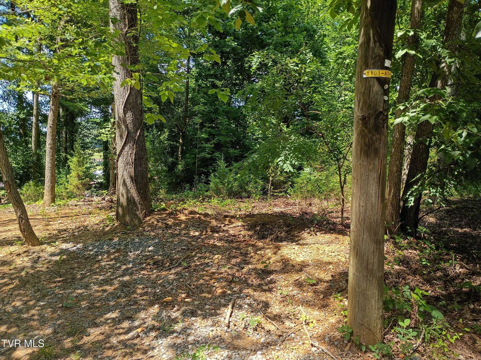 0.37 Acres of Residential Land for Sale in Mount Carmel, Tennessee