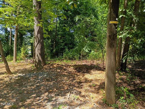 0.37 Acres of Residential Land for Sale in Mount Carmel, Tennessee