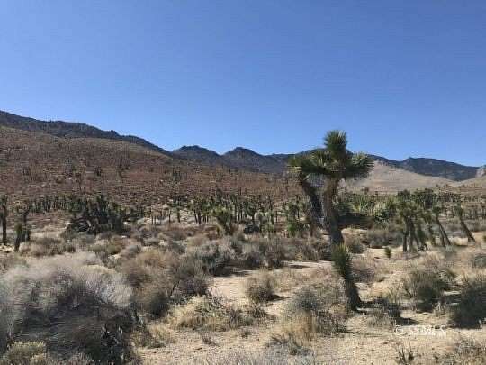 19.7 Acres of Land for Sale in Inyokern, California