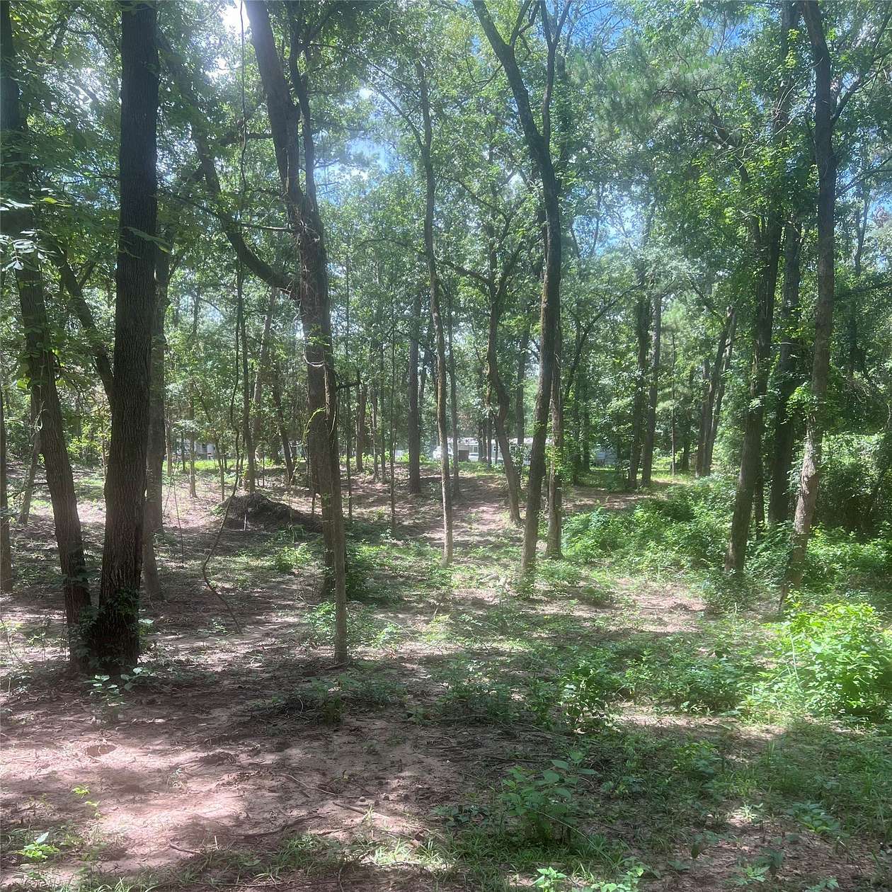 0.58 Acres of Residential Land for Sale in Mount Vernon, Texas