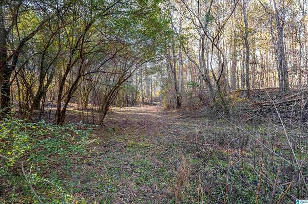 77 Acres of Recreational & Residential Land for Sale in Mount Olive, Alabama