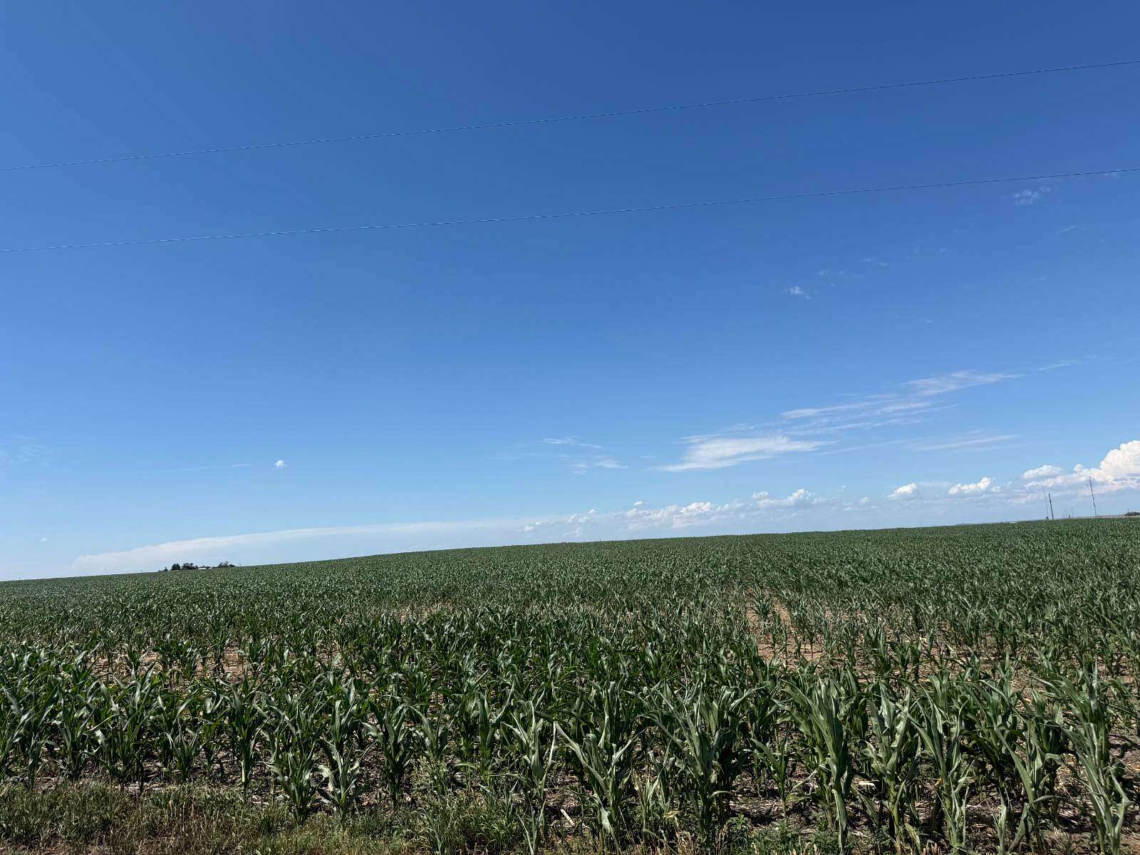 267 Acres of Agricultural Land for Sale in Ogallala, Nebraska