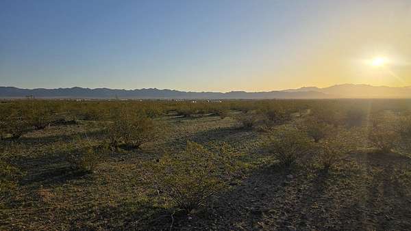 10 Acres of Residential Land for Sale in Golden Valley, Arizona