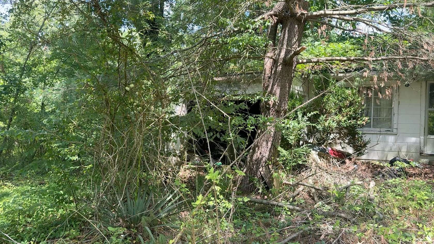 1.69 Acres of Residential Land for Sale in Summertown, Tennessee