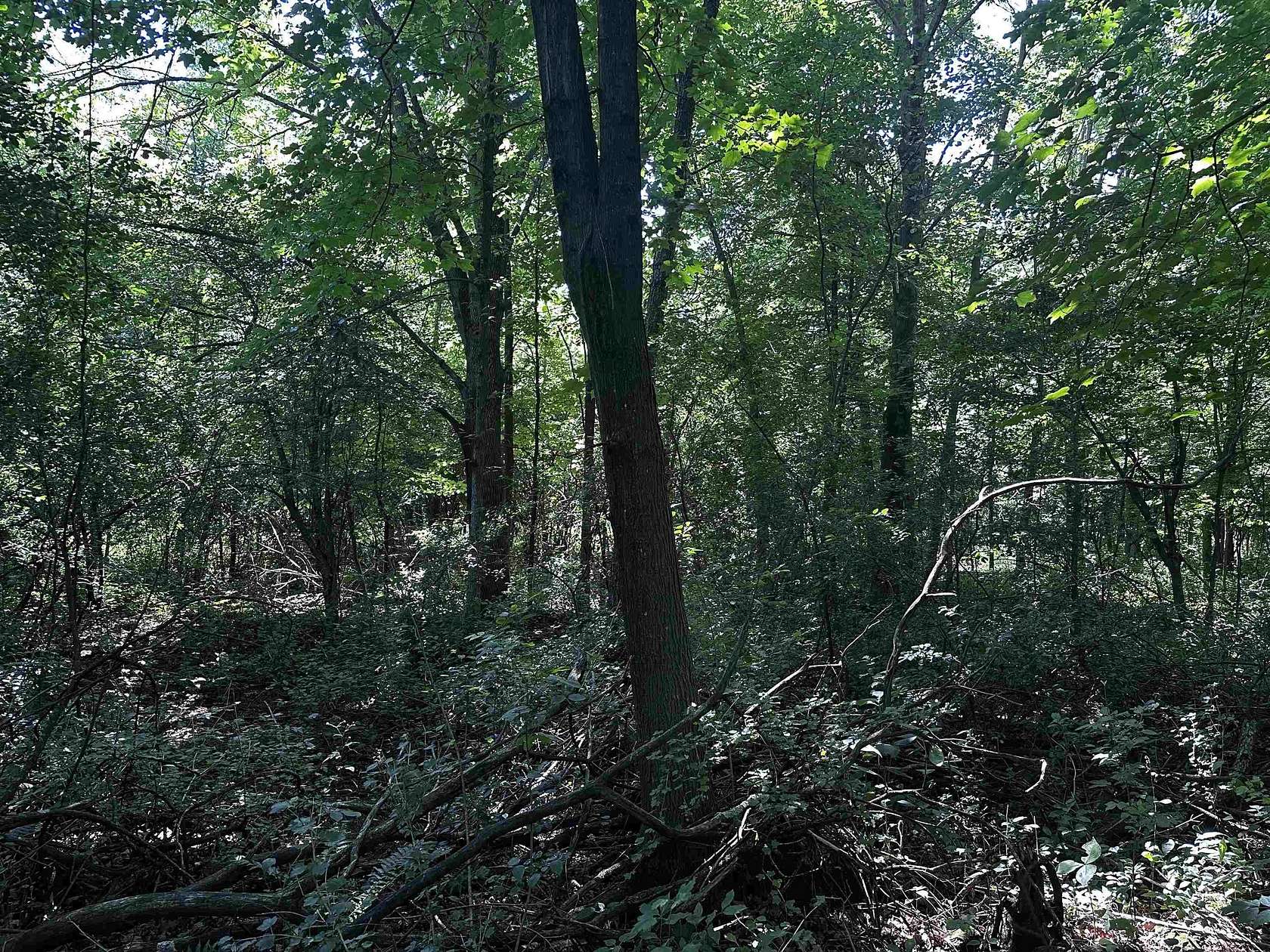 19.7 Acres of Recreational Land for Sale in Mosinee, Wisconsin