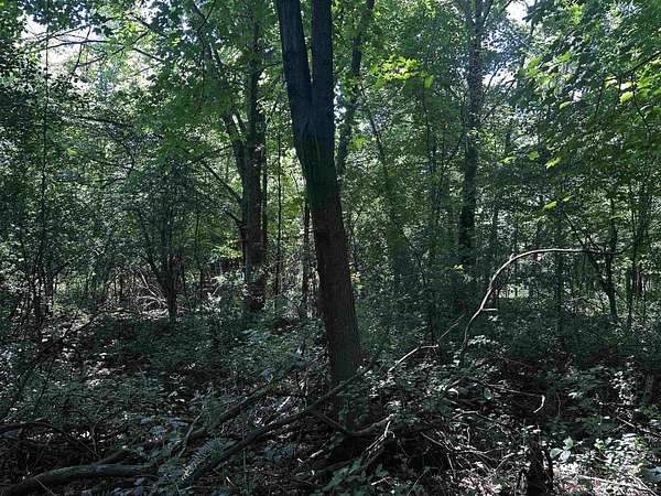 19.7 Acres of Recreational Land for Sale in Mosinee, Wisconsin
