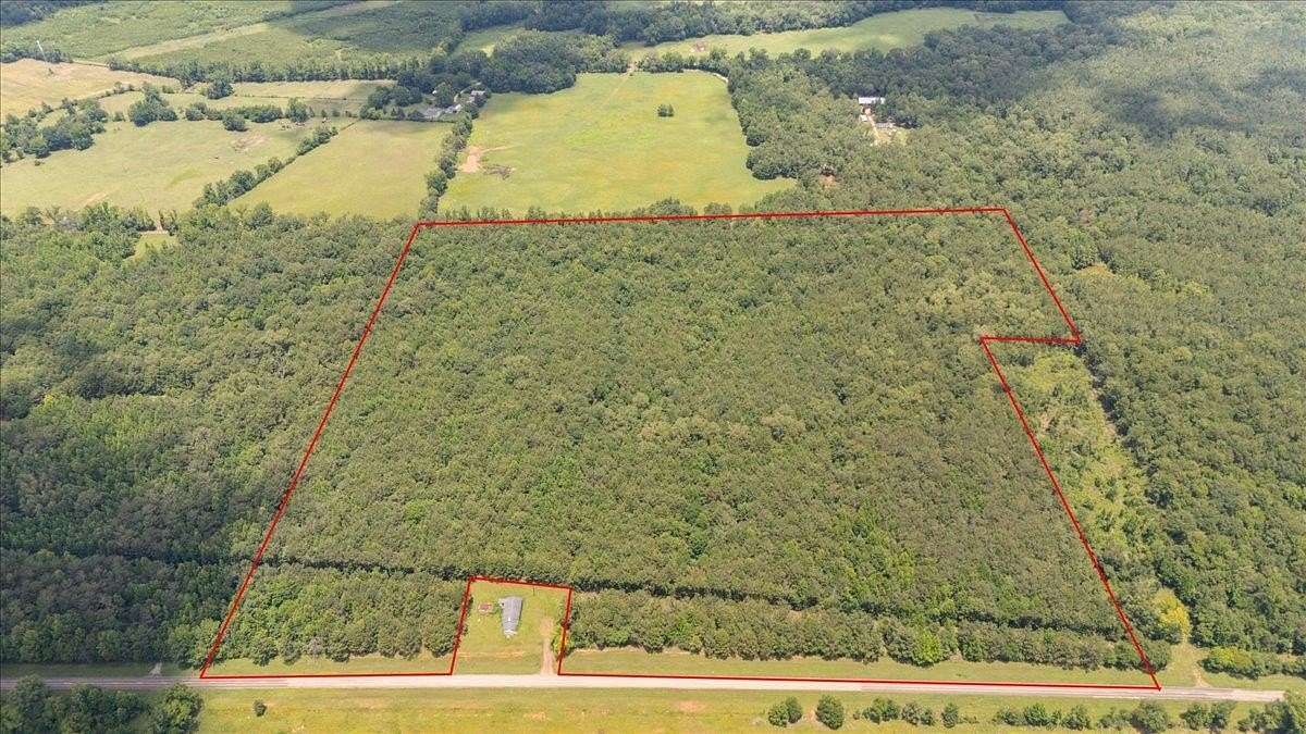 50.8 Acres of Recreational & Residential Land for Sale in Mount Enterprise, Texas