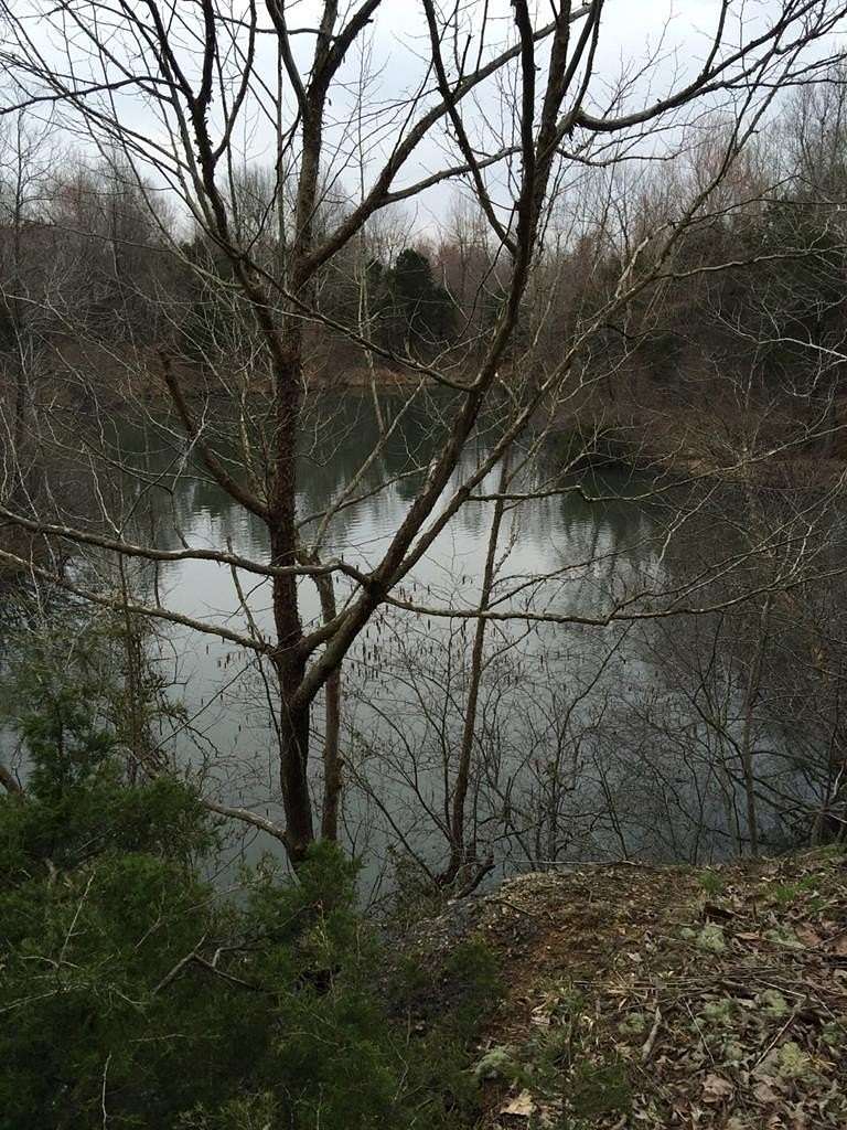 67 Acres of Recreational & Residential Land for Sale in Dawson Springs, Kentucky
