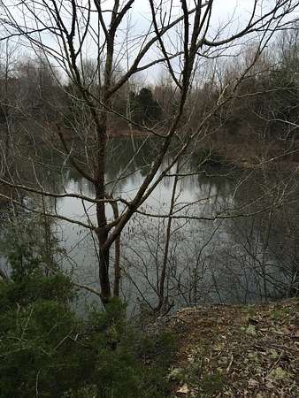 67 Acres of Recreational & Residential Land for Sale in Dawson Springs, Kentucky