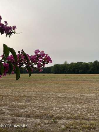 99.5 Acres of Land for Sale in Greenville, North Carolina