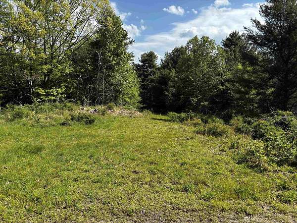 20.7 Acres of Land for Sale in Vesuvius, Virginia