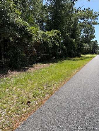 1.13 Acres of Residential Land for Sale in Lecanto, Florida