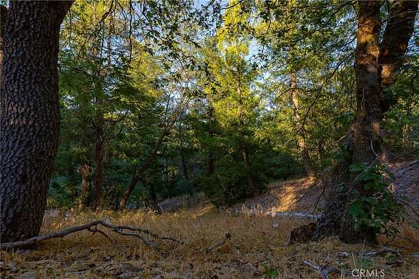 0.45 Acres of Land for Sale in Cedarpines Park, California