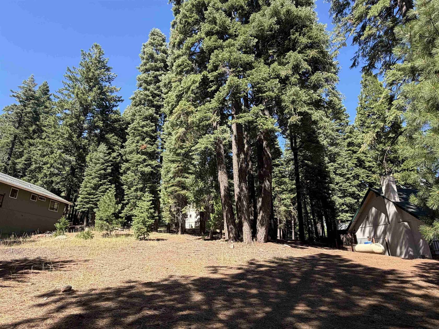 0.3 Acres of Land for Sale in Lake Almanor Country Club, California