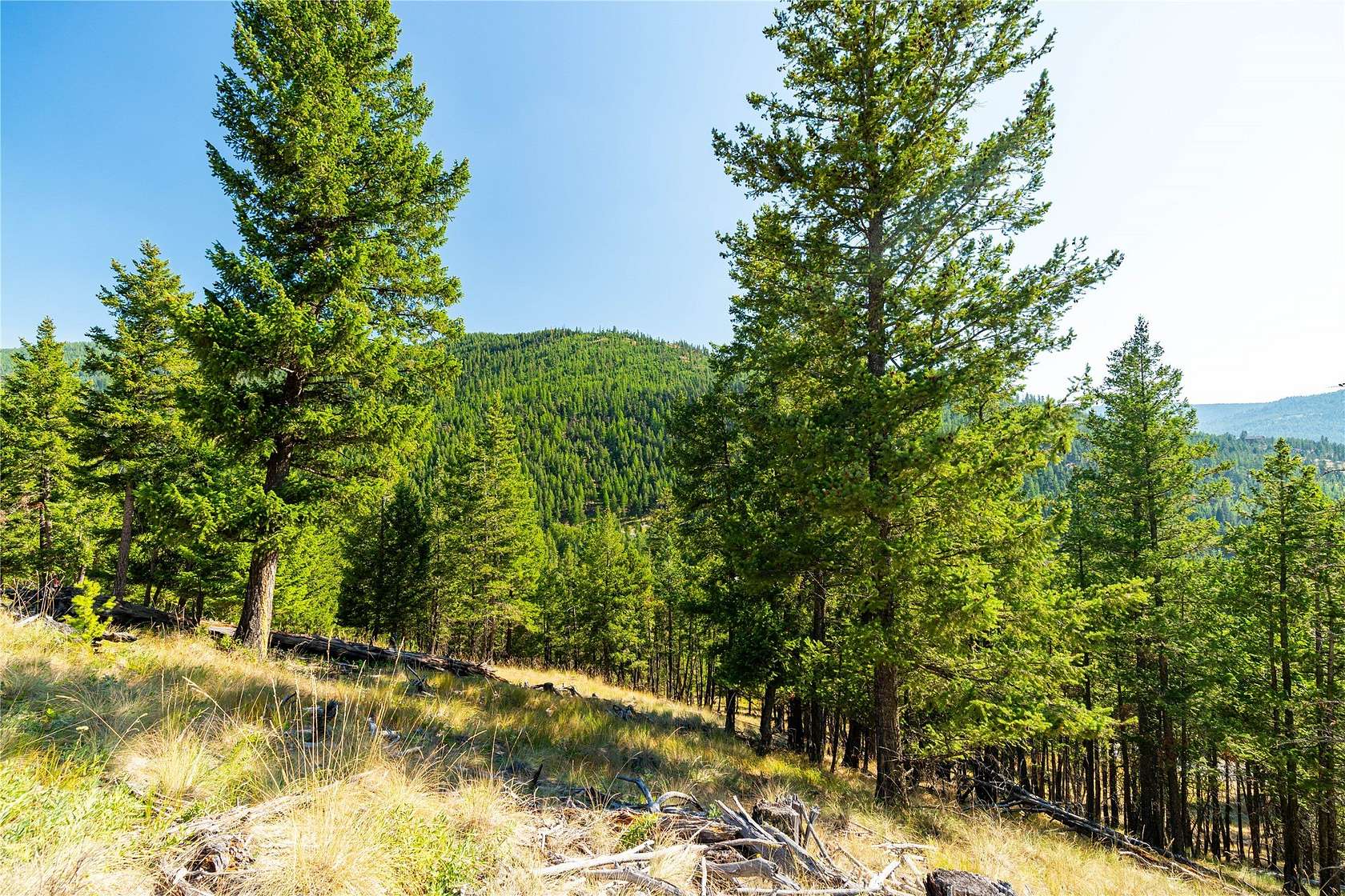 5.82 Acres of Residential Land for Sale in Kila, Montana