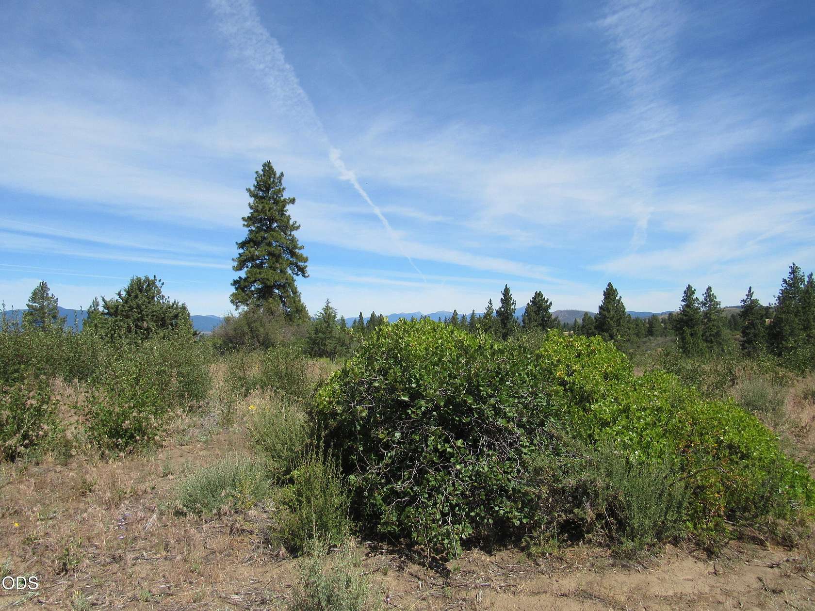 1 Acre of Residential Land for Sale in Chiloquin, Oregon