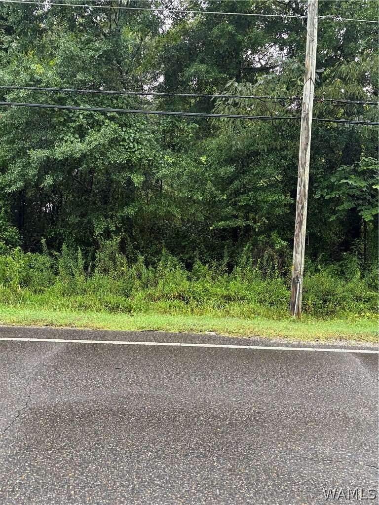 23.8 Acres of Land for Sale in Tuscaloosa, Alabama