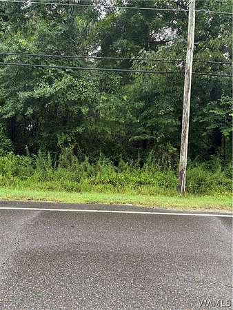 23.8 Acres of Land for Sale in Tuscaloosa, Alabama