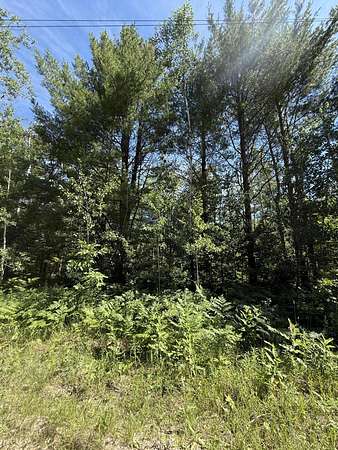 Residential Land for Sale in Gaylord, Michigan