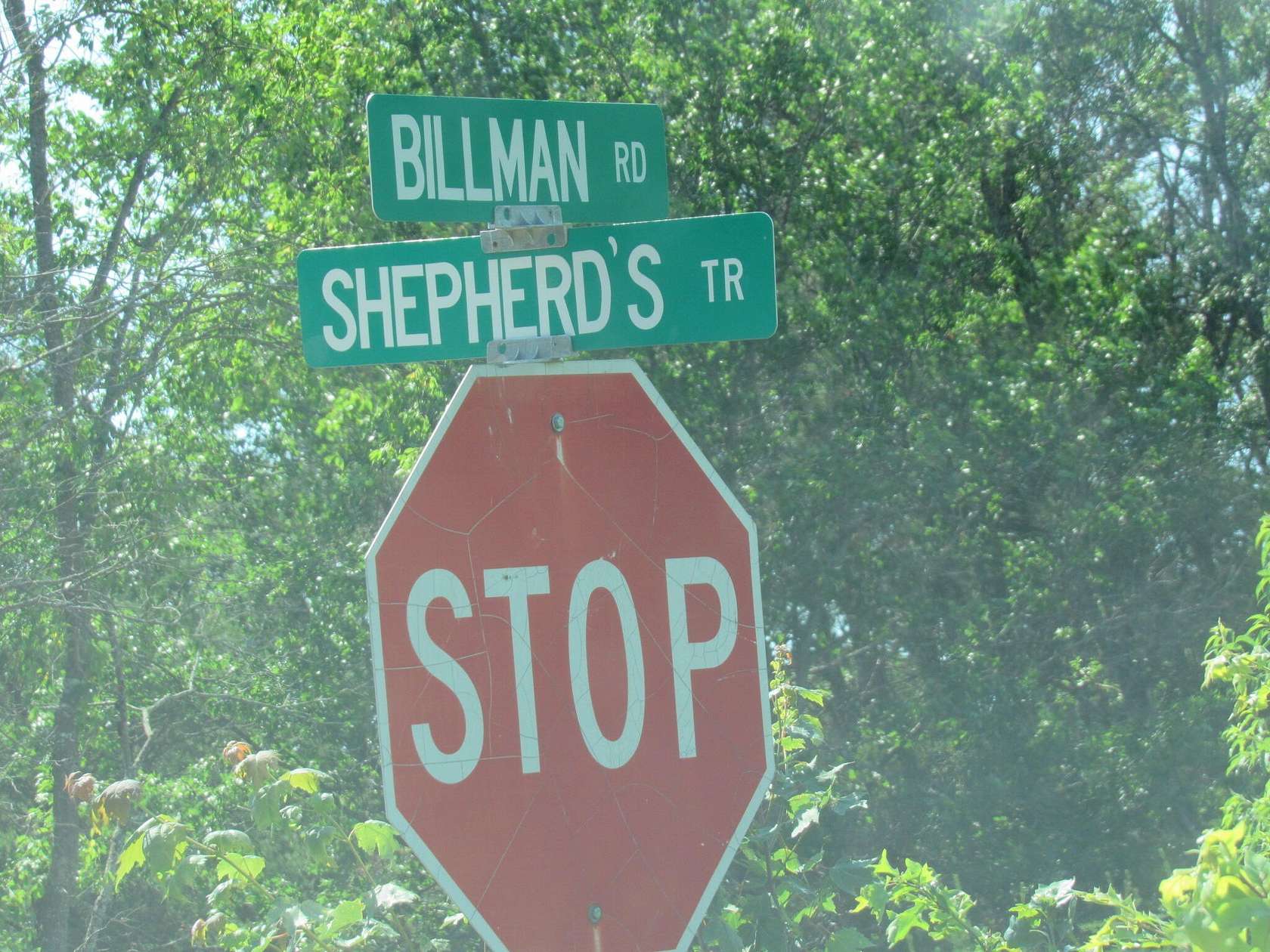 10 Acres of Recreational & Residential Land for Sale in Roscommon, Michigan