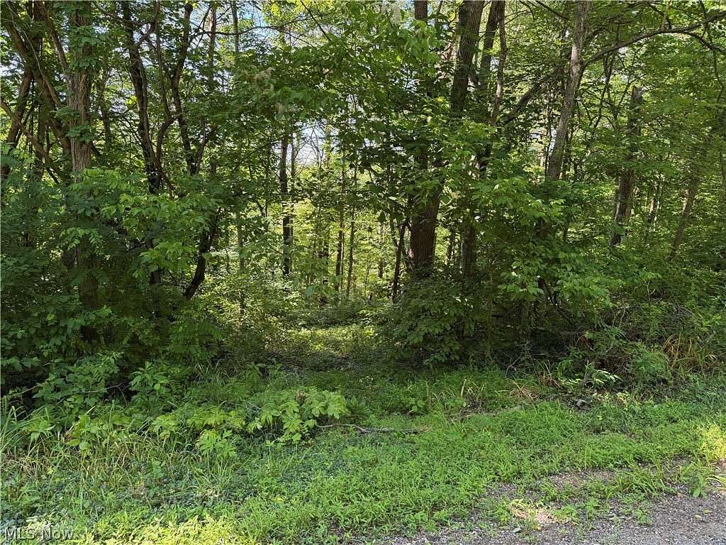 10 Acres of Agricultural Land for Sale in Fleming, Ohio