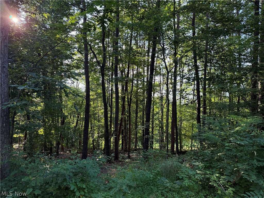 10 Acres of Agricultural Land for Sale in Fleming, Ohio