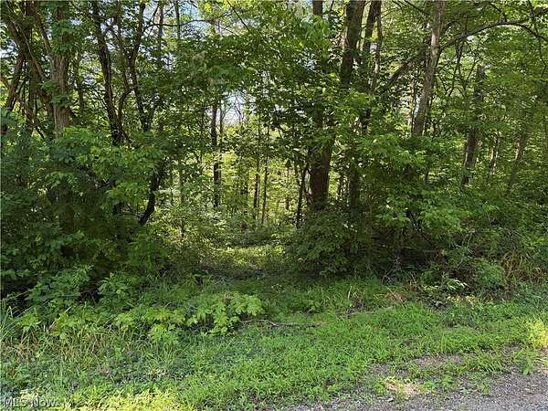 10 Acres of Agricultural Land for Sale in Fleming, Ohio