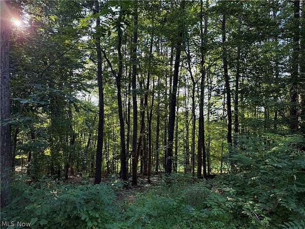 10 Acres of Agricultural Land for Sale in Fleming, Ohio