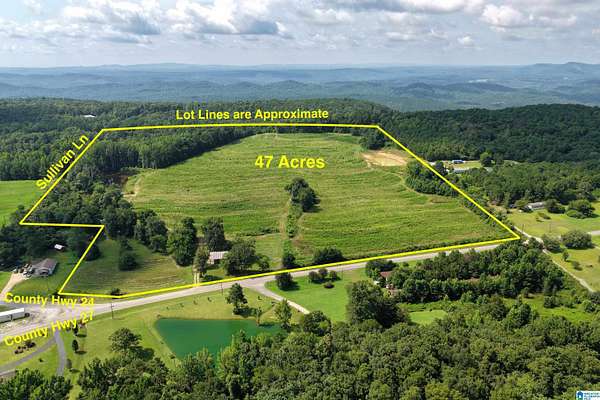 47 Acres of Agricultural Land for Sale in Springville, Alabama